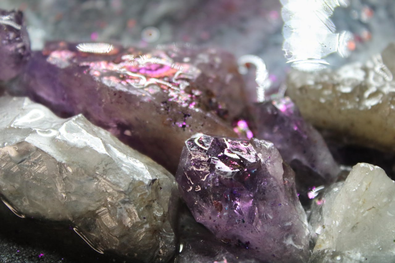 Castor und Pollux, Eine Hommage an die Freundschaft