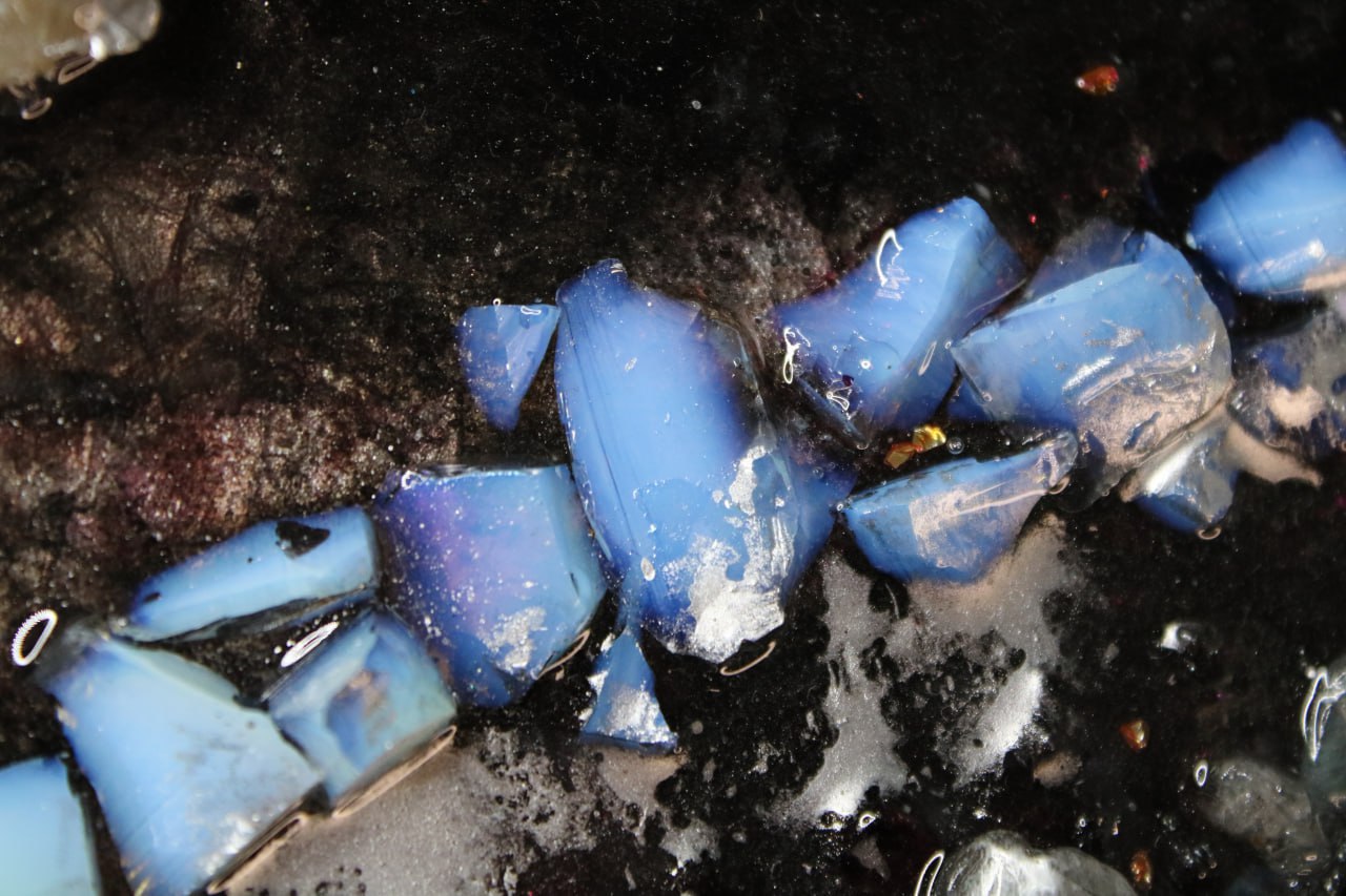 Castor und Pollux, Eine Hommage an die Freundschaft