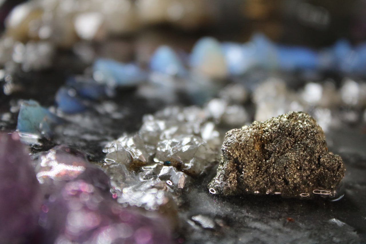 Castor und Pollux, Eine Hommage an die Freundschaft