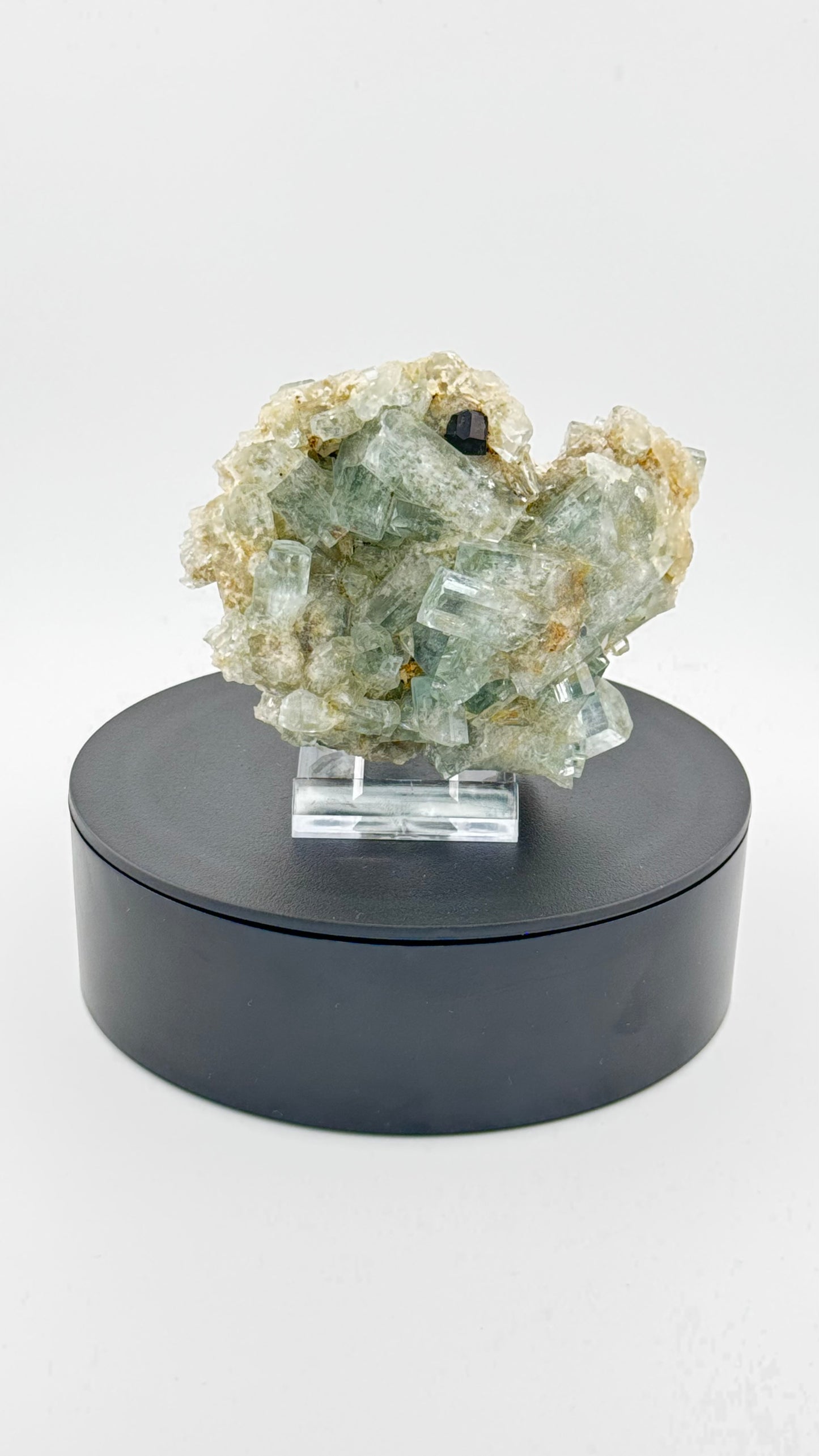 Frontalansicht - Aquamarin-Stufe mit schwarzem Turmalin, Erongo, Namibia
