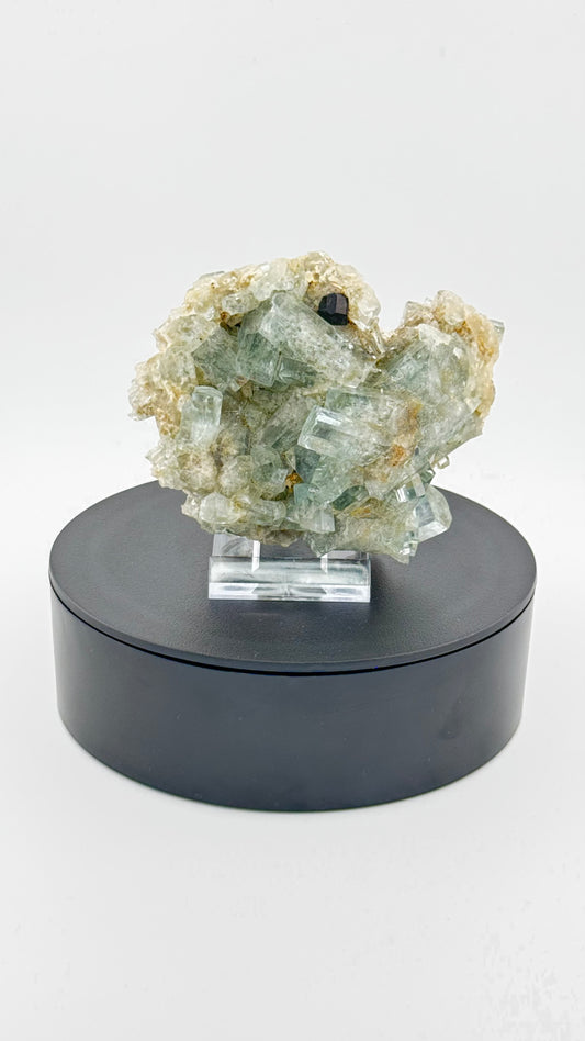 Frontalansicht - Aquamarin-Stufe mit schwarzem Turmalin, Erongo, Namibia
