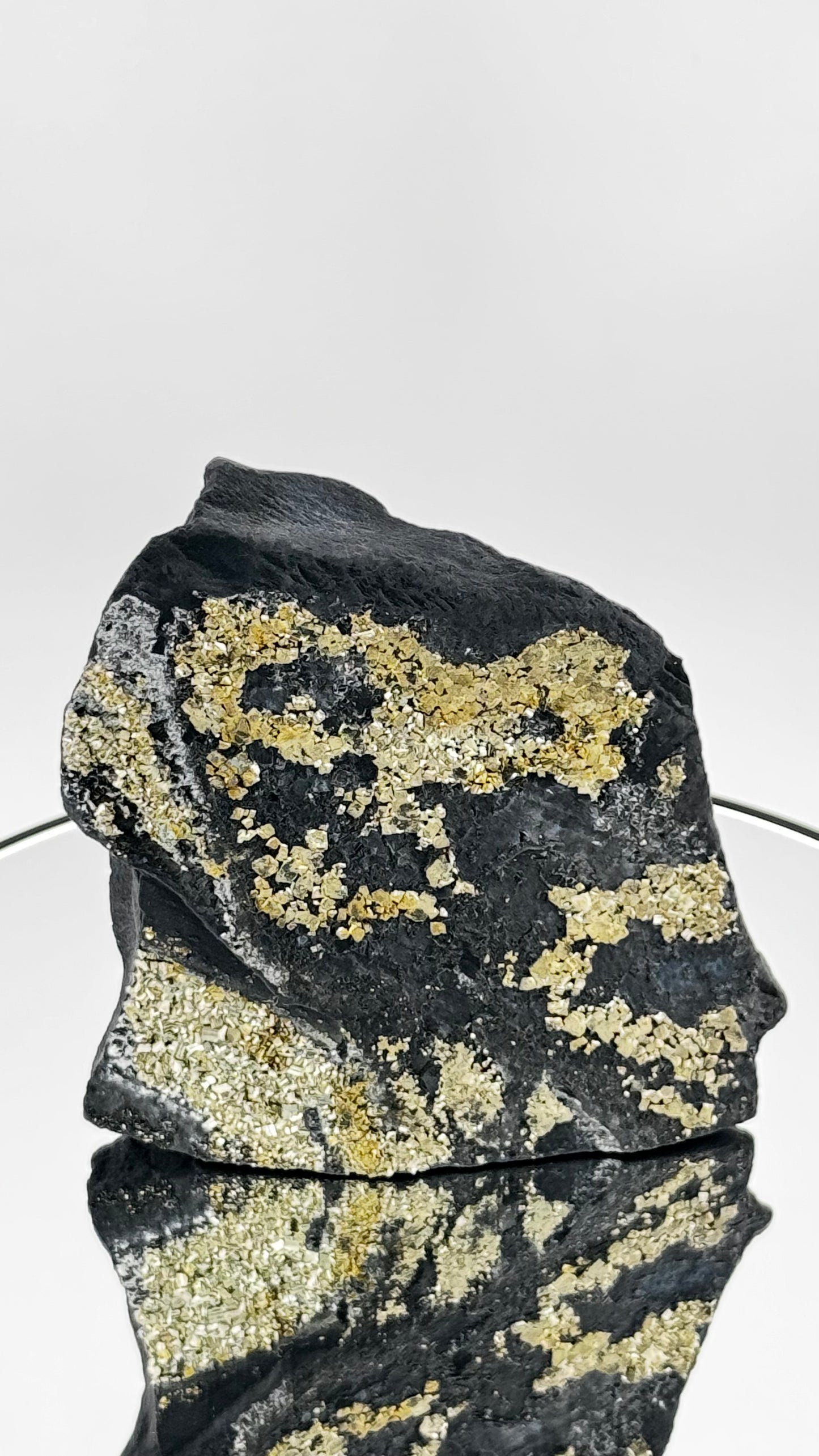 Schungit mit Pyrit – Schwarzer Kohlenstoff & Gold – Shunga, Russland, 570g