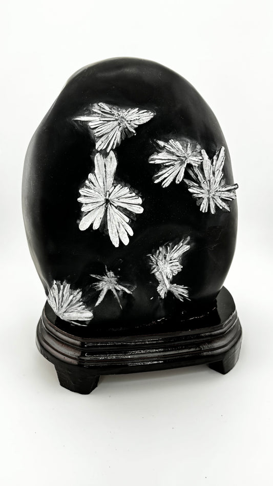 Frontalansicht - Stibnit-Chrysanthemenstein mit silbernen radialstrahligen Kristallen, China
