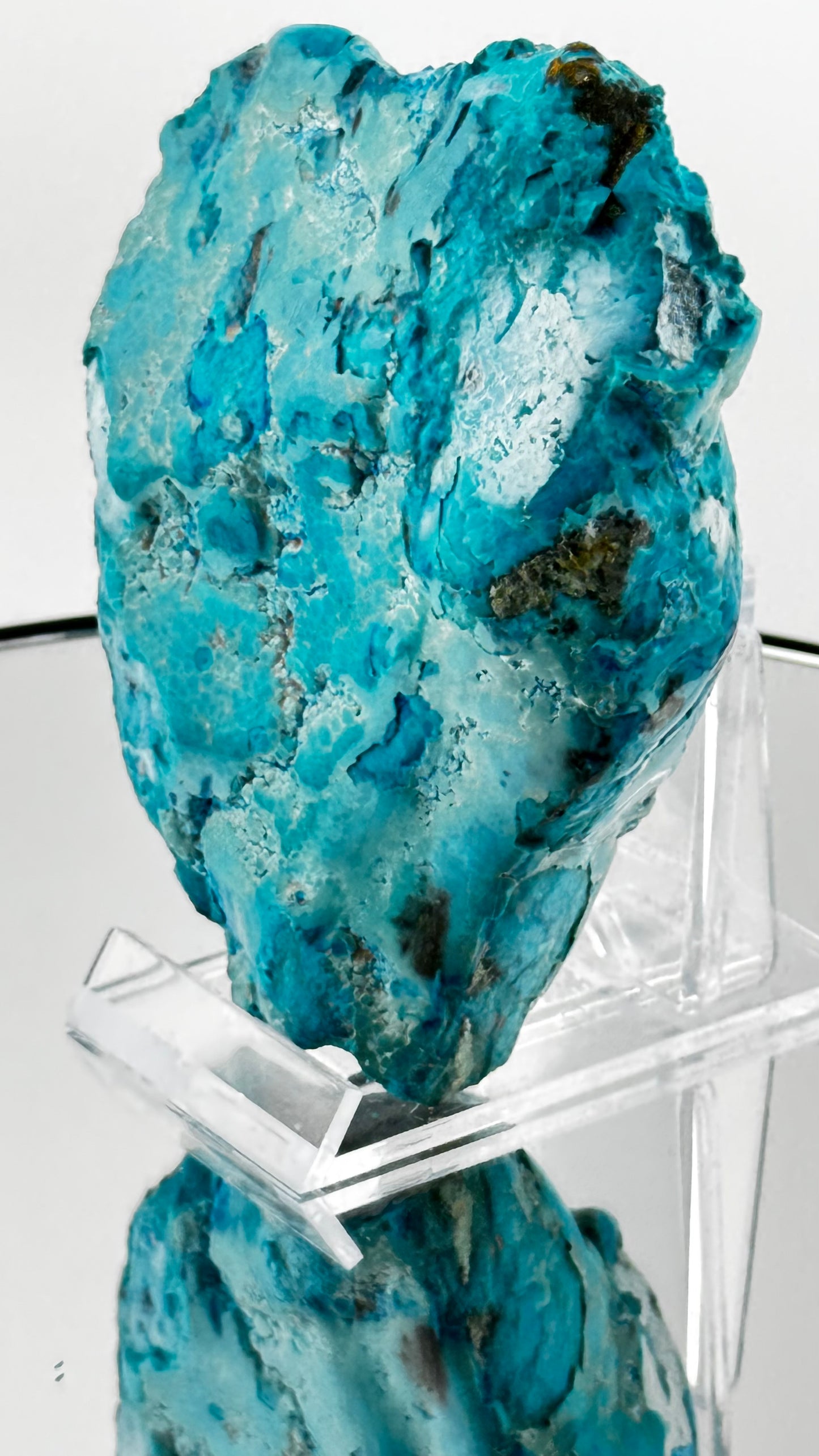 Chrysokoll-Stufe – Intensive Türkistöne – Kongo