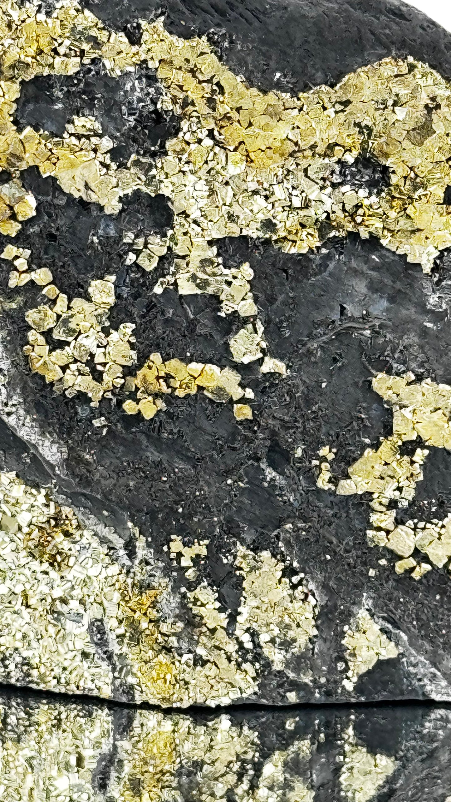 Schungit mit Pyrit – Schwarzer Kohlenstoff & Gold – Shunga, Russland, 570g