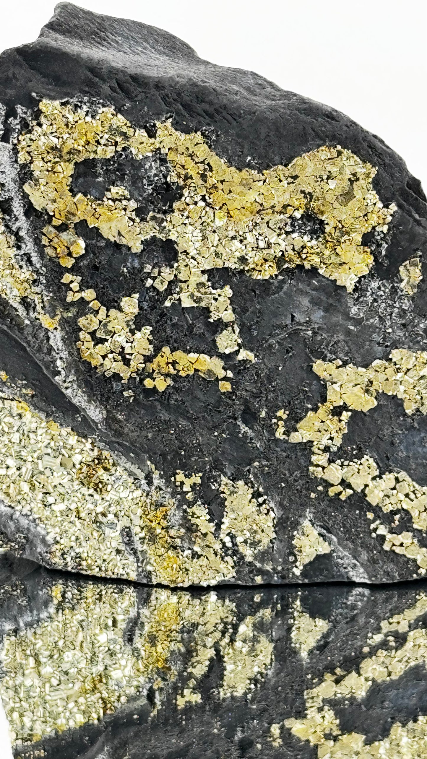 Schungit mit Pyrit – Schwarzer Kohlenstoff & Gold – Shunga, Russland, 570g