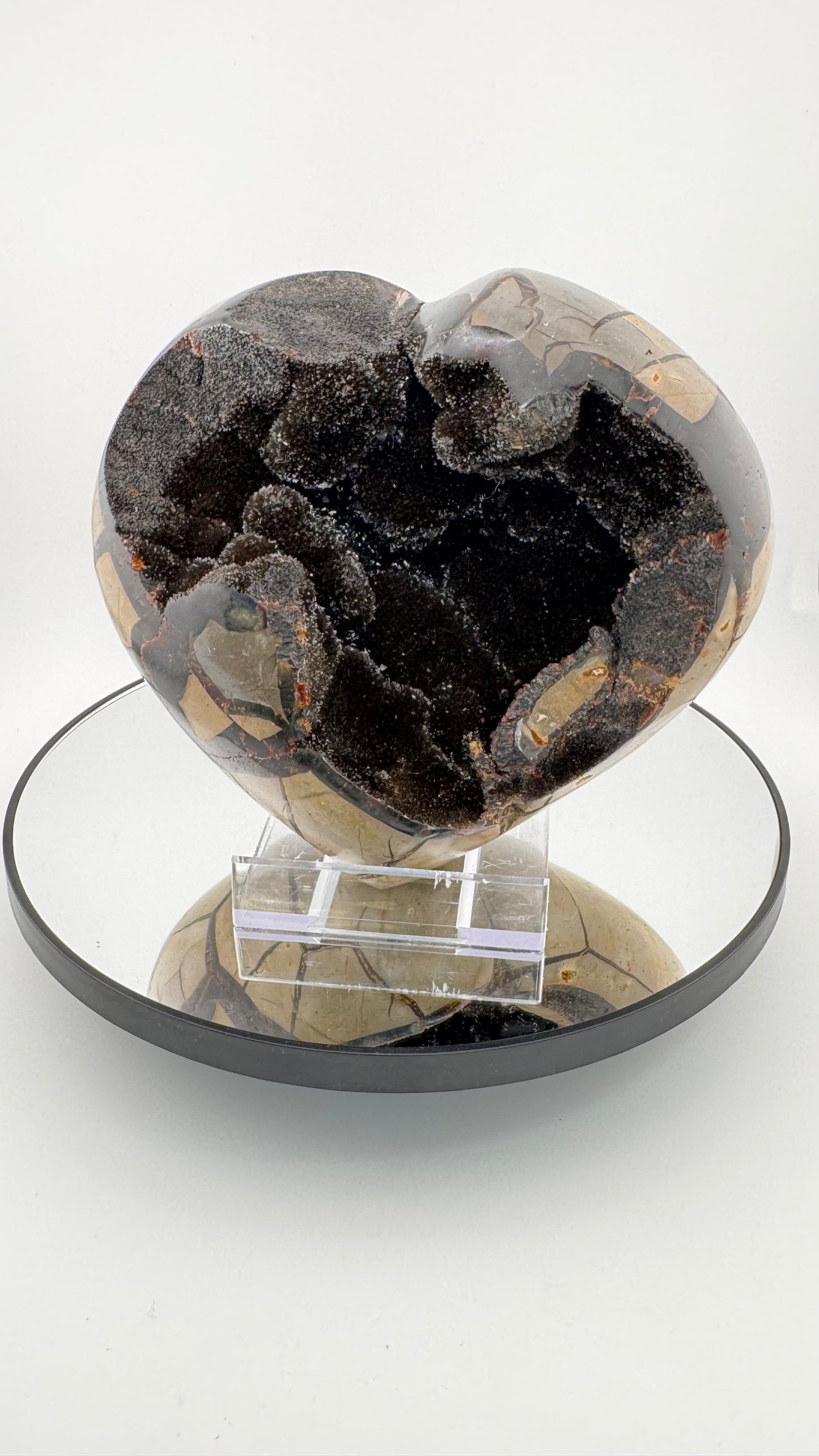 Septarian Herz "Drachenstein" – Madagaskar  17 × 16 cm, 2,7 kg