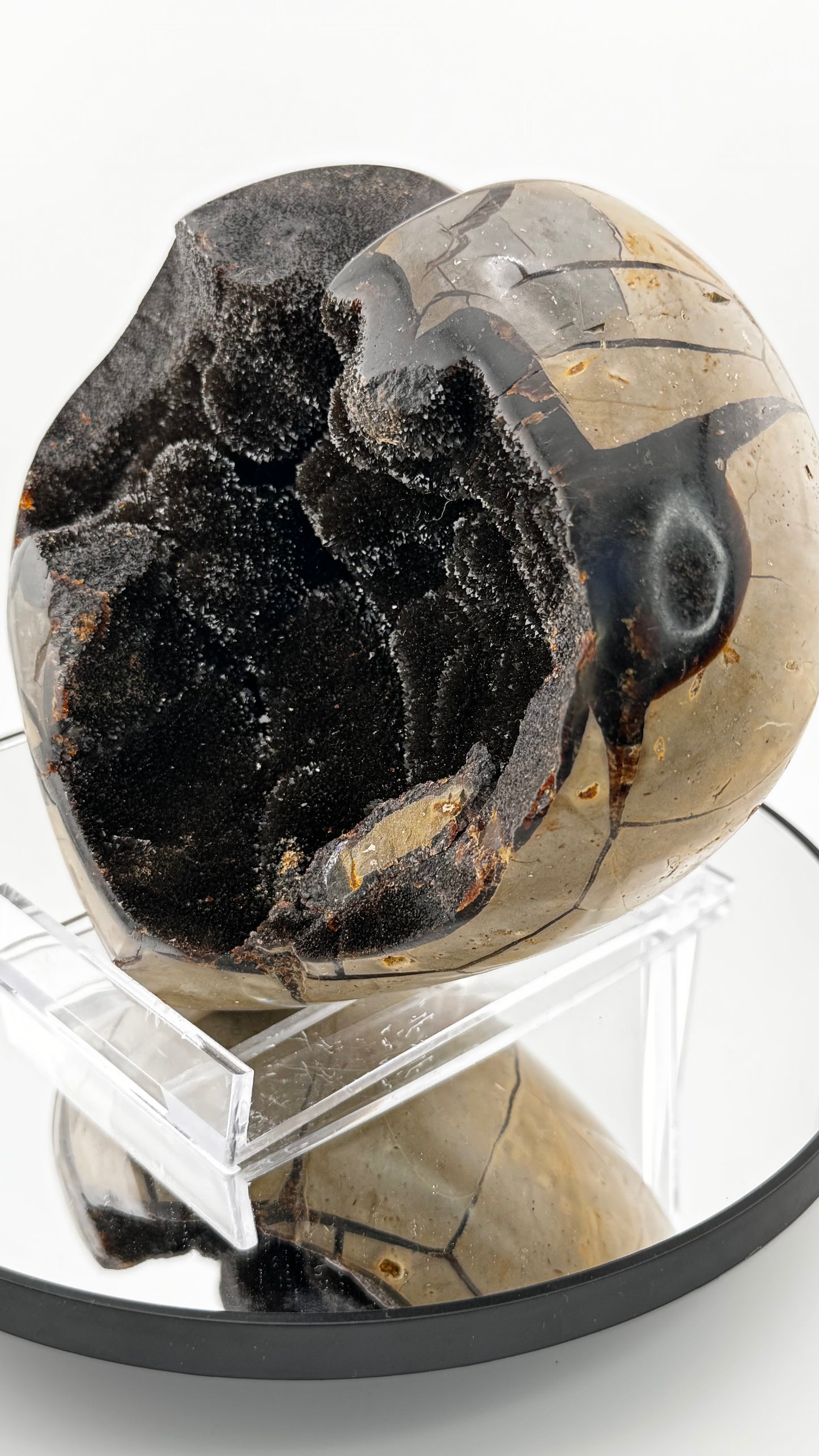 Septarian Herz Drachenstein Madagaskar 