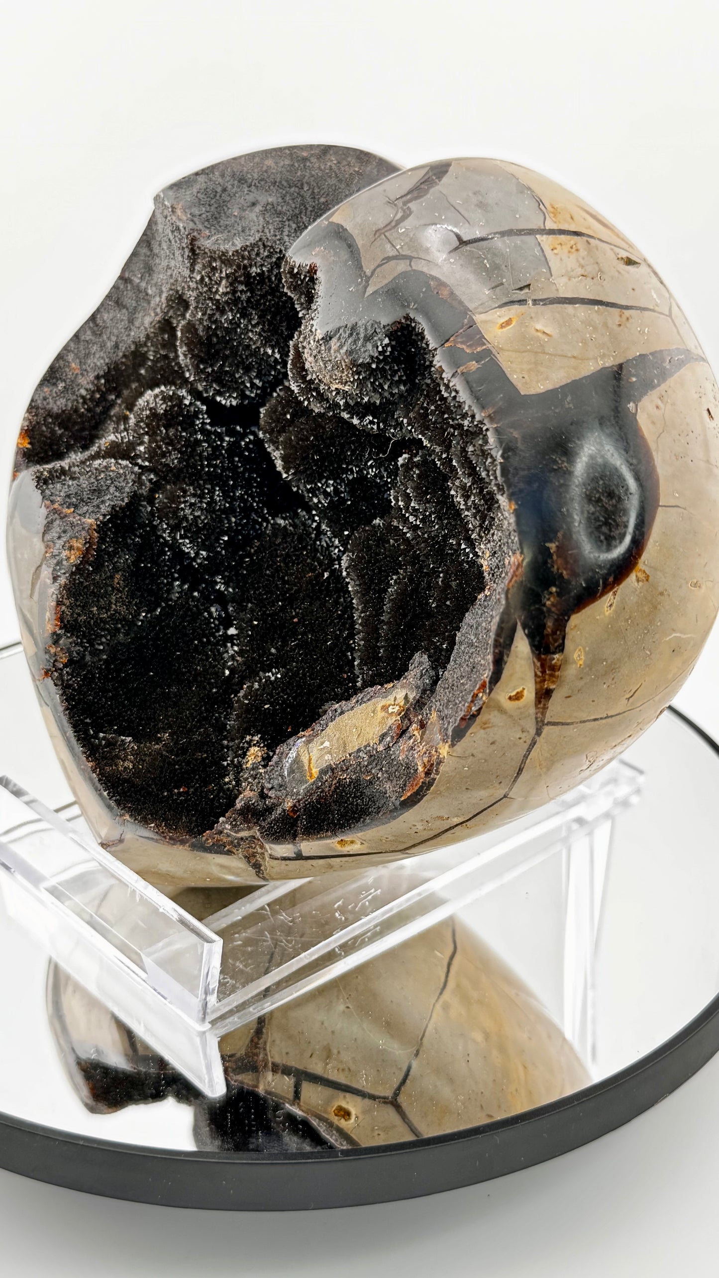 Septarian Herz "Drachenstein" – Madagaskar  17 × 16 cm, 2,7 kg