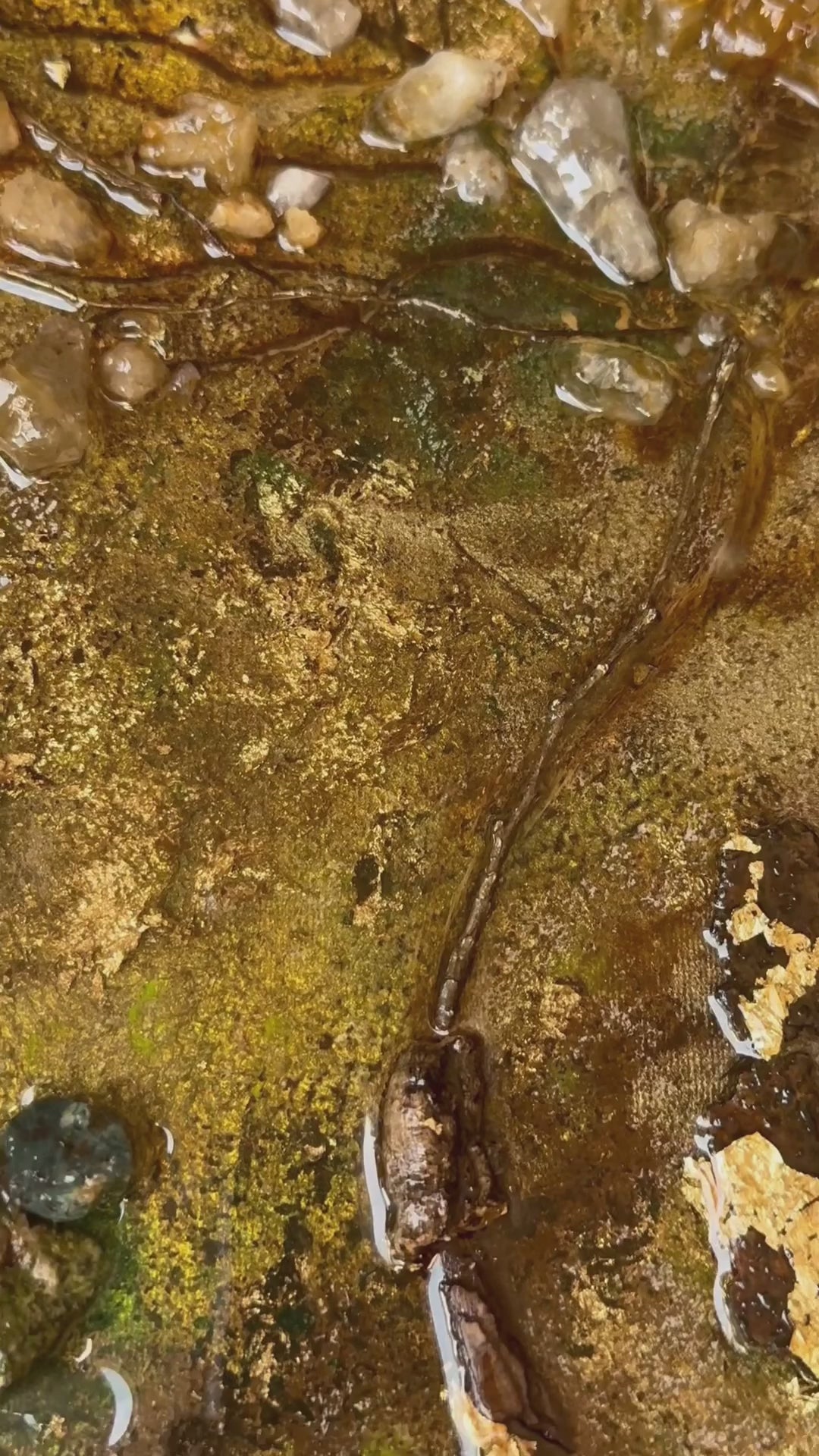 Orgonit Energiebild Gaia Detail Video